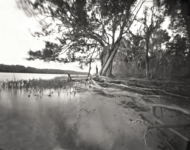 'Skidaway Island,' 2012