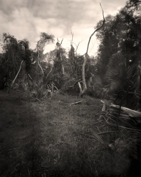 'Skiadaway Island II,' 2012