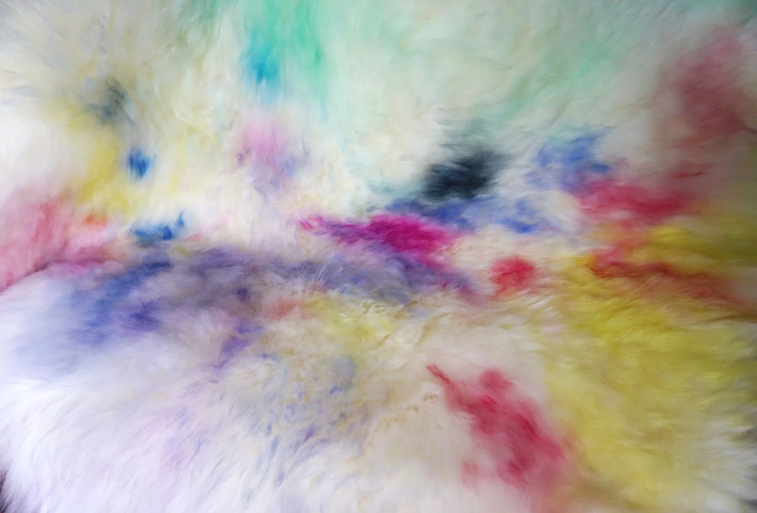 Aelfie x Obra Obscura 