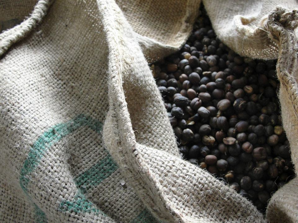 Possibly the best coffee you'll ever taste is in Costa Rica.