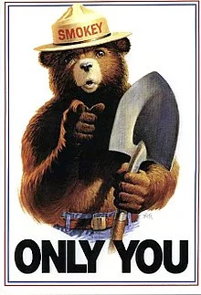 220px-Smokey_Bear_Only_You_campaign_hat.jpg