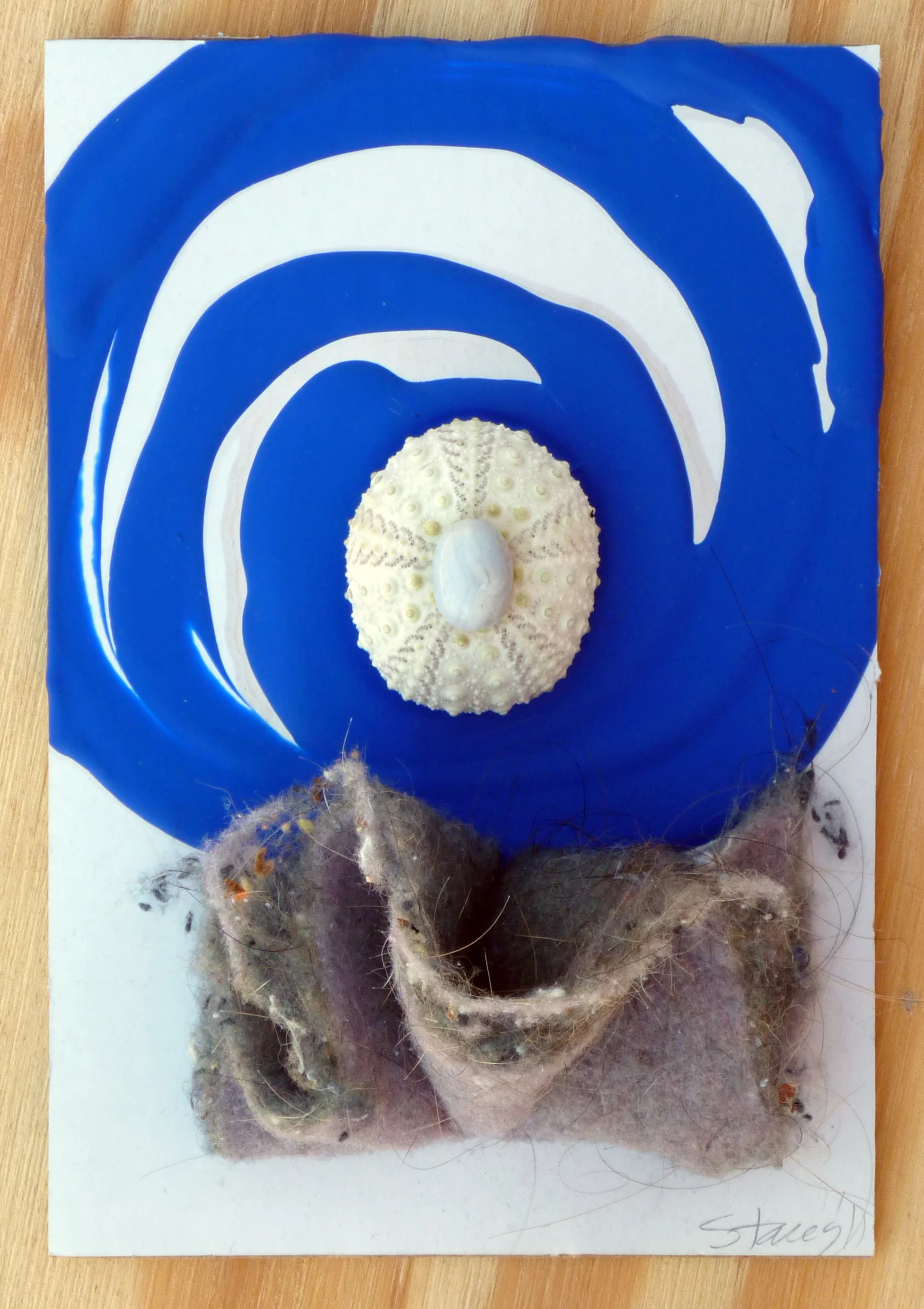 Urchin 1 - 2011