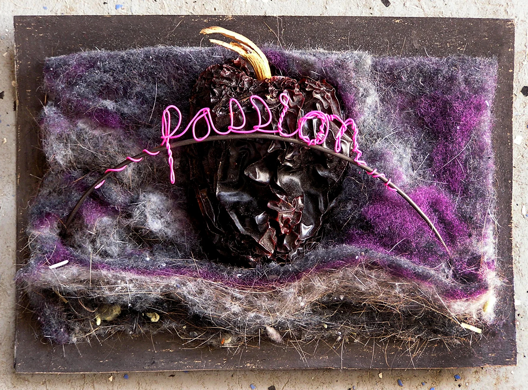 passion fruit - 2009