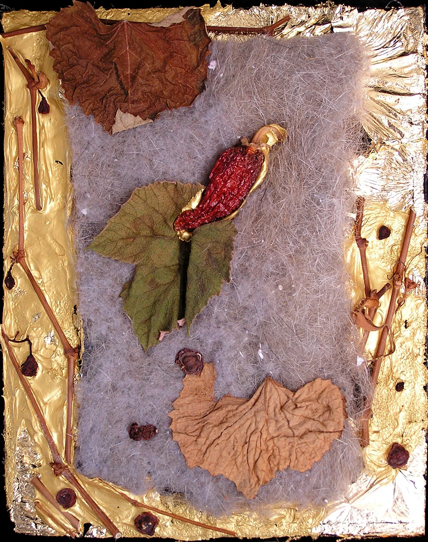 partridge - 2009