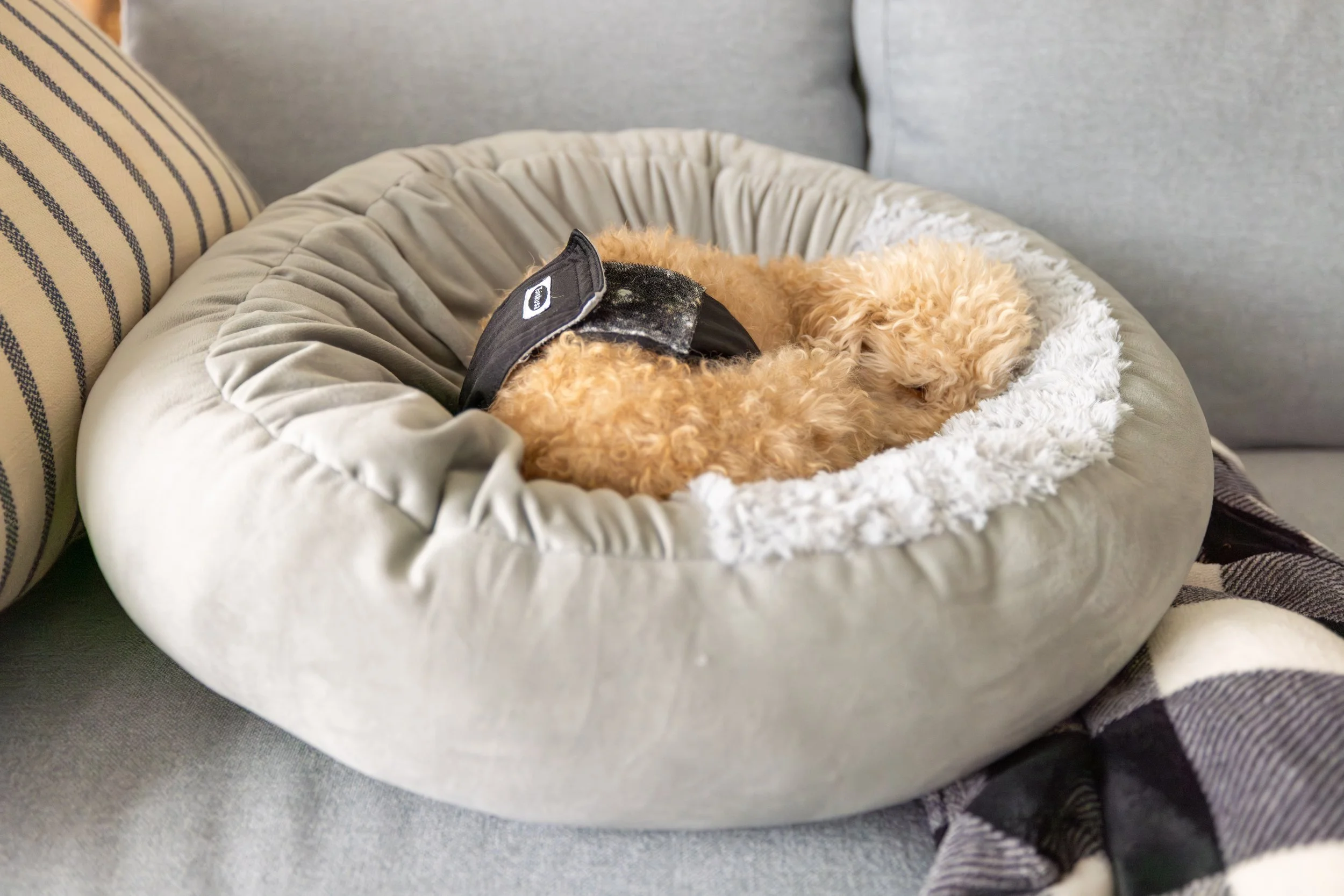 2025 - Volk Family Christmas - 0006.jpg