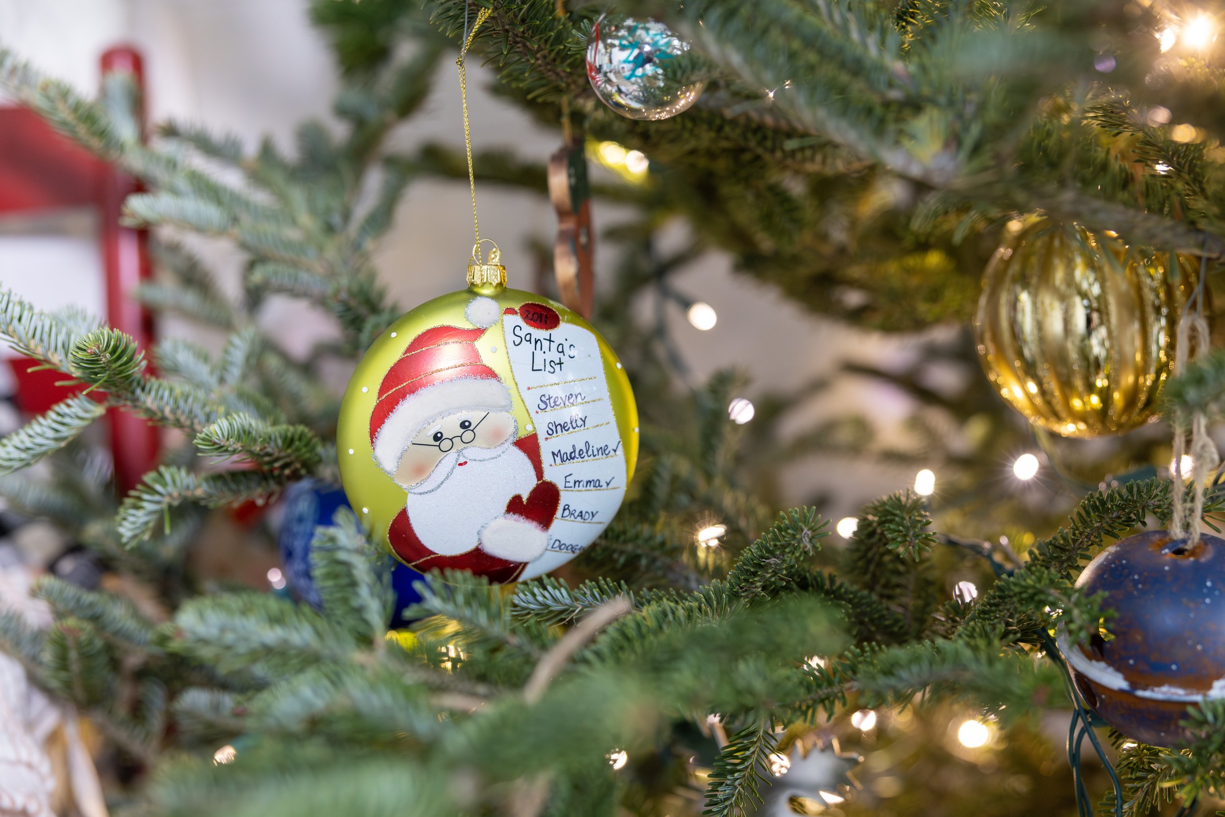 2025 - Volk Family Christmas - 0040.jpg