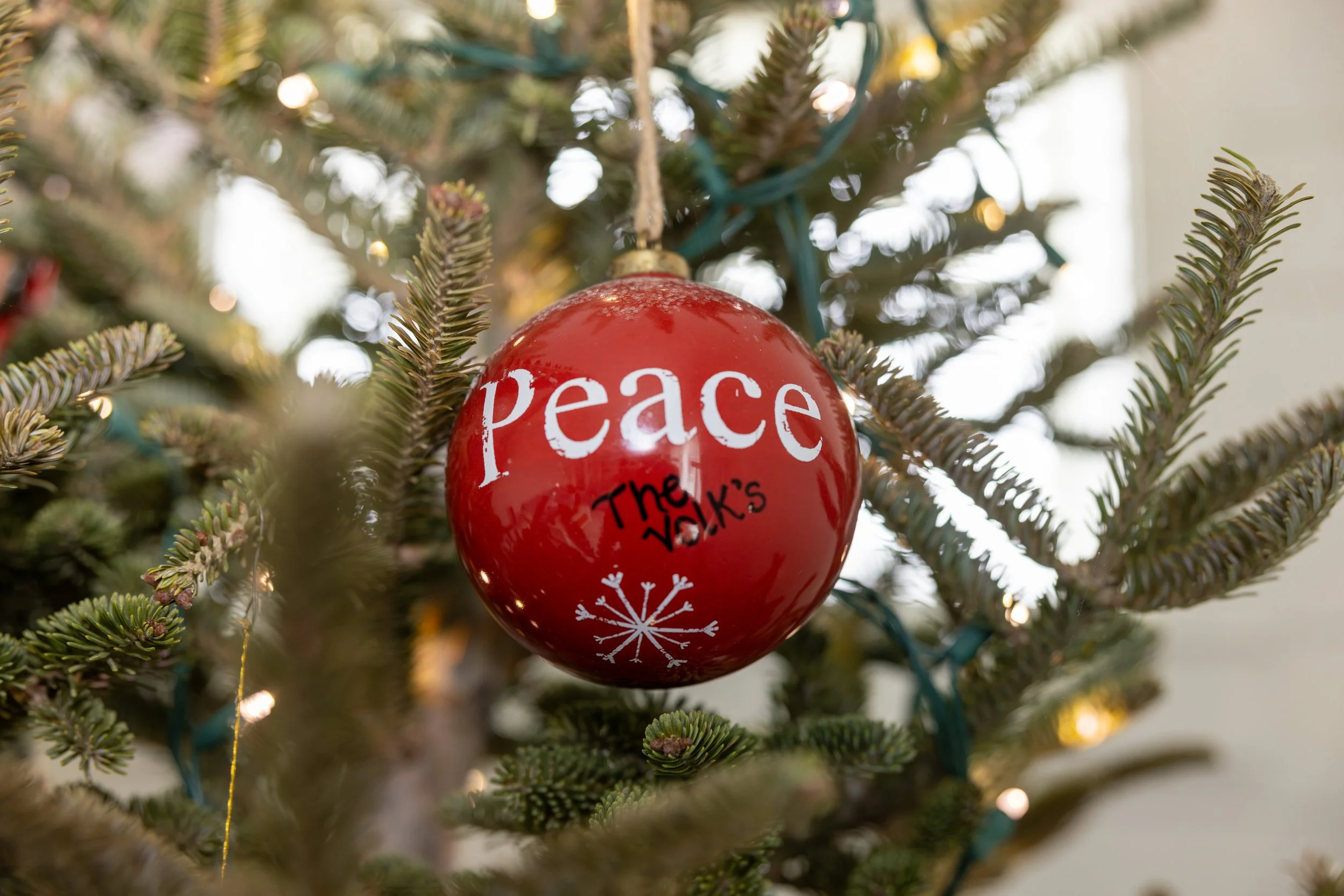 2025 - Volk Family Christmas - 0041.jpg