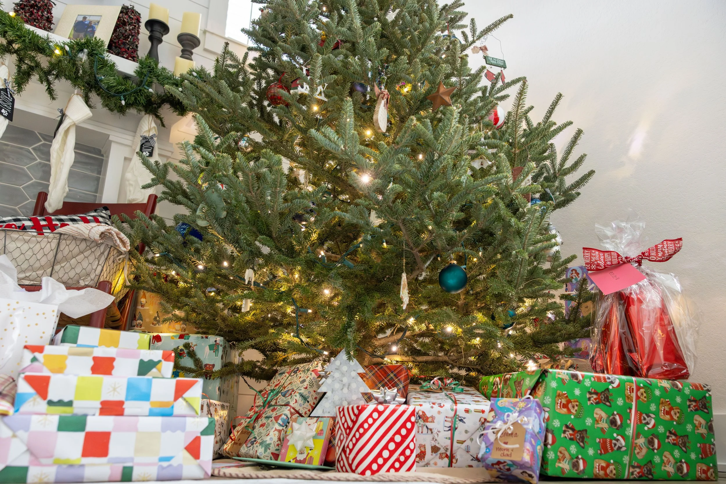 2025 - Volk Family Christmas - 0047.jpg