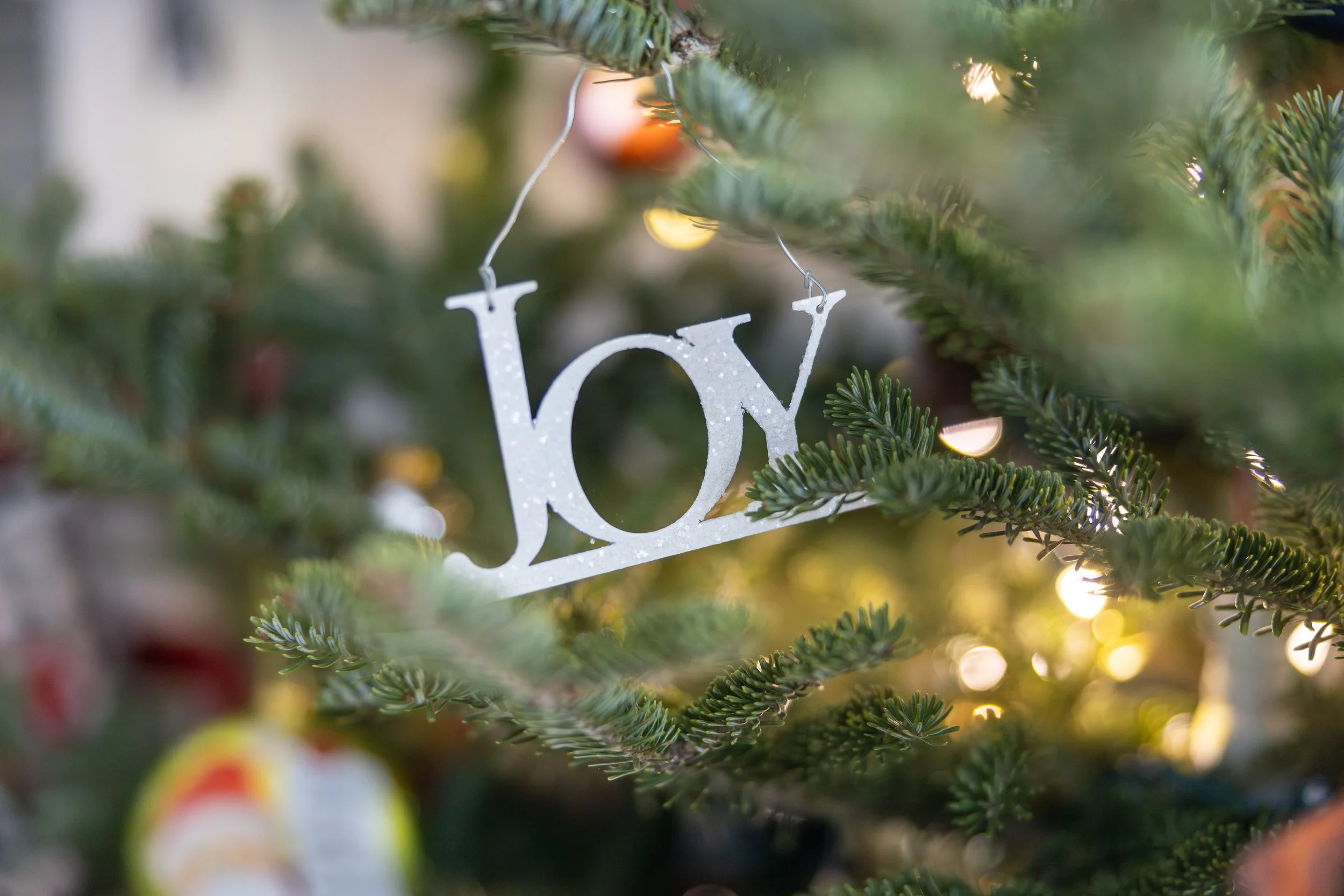 2025 - Volk Family Christmas - 0052.jpg