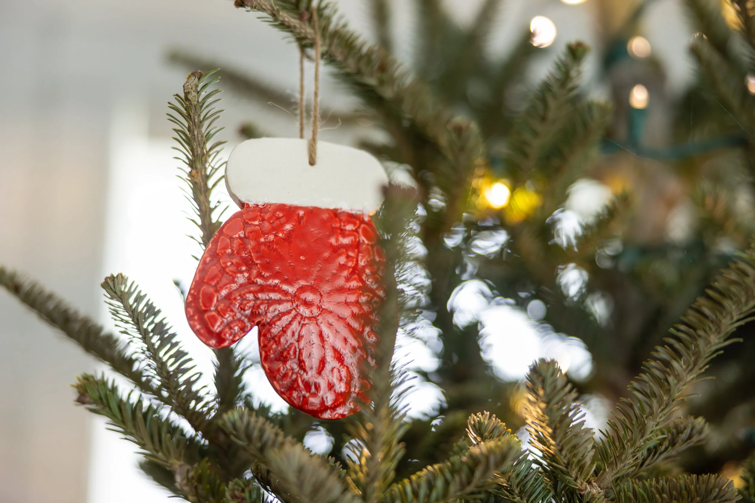 2025 - Volk Family Christmas - 0055.jpg