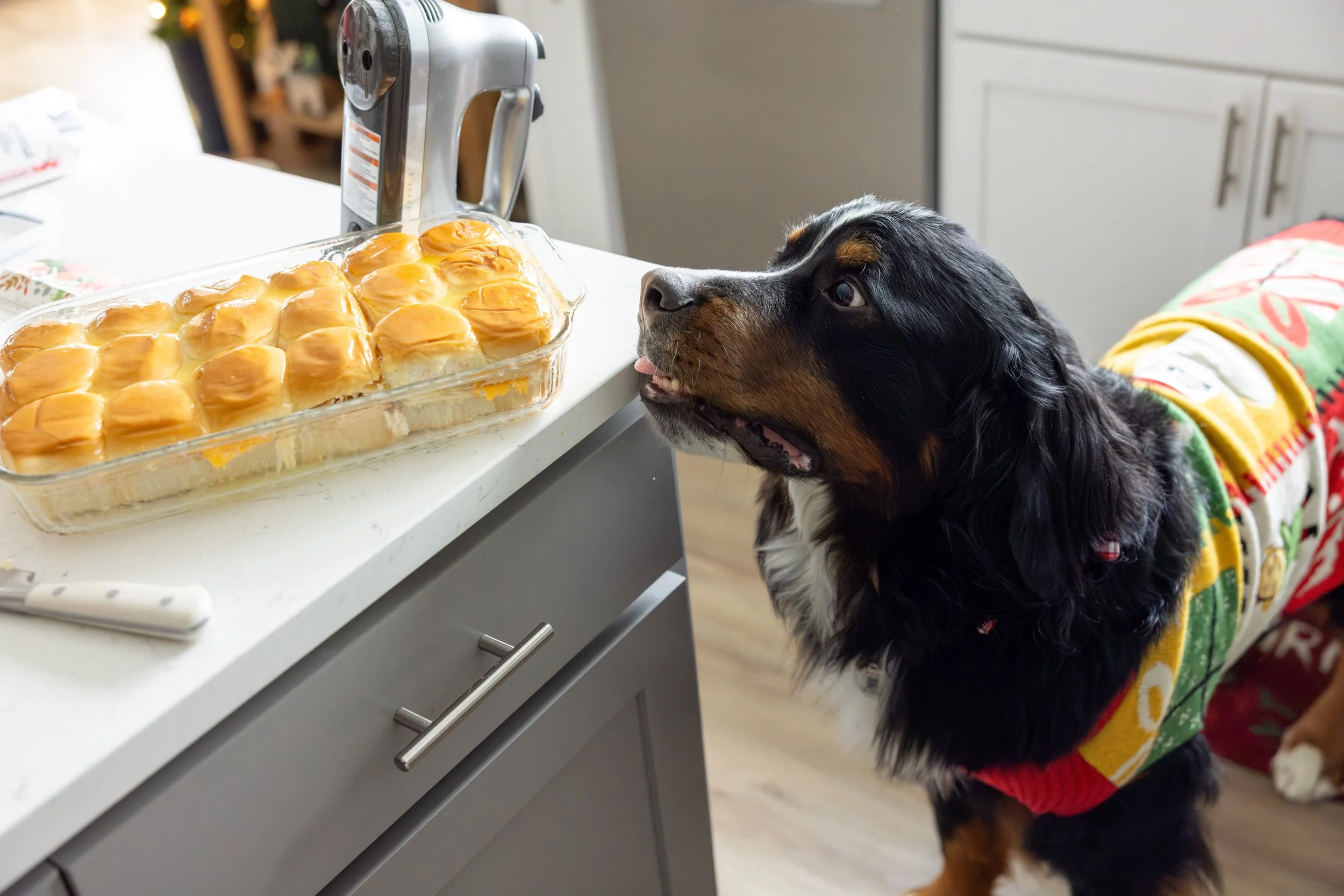 2025 - Volk Family Christmas - 0070.jpg