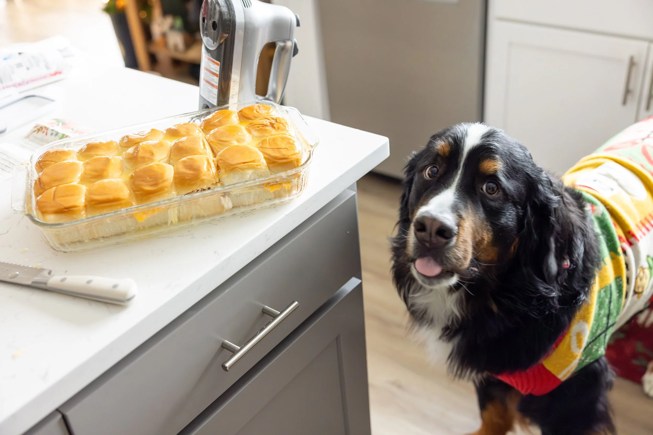 2025 - Volk Family Christmas - 0071.jpg