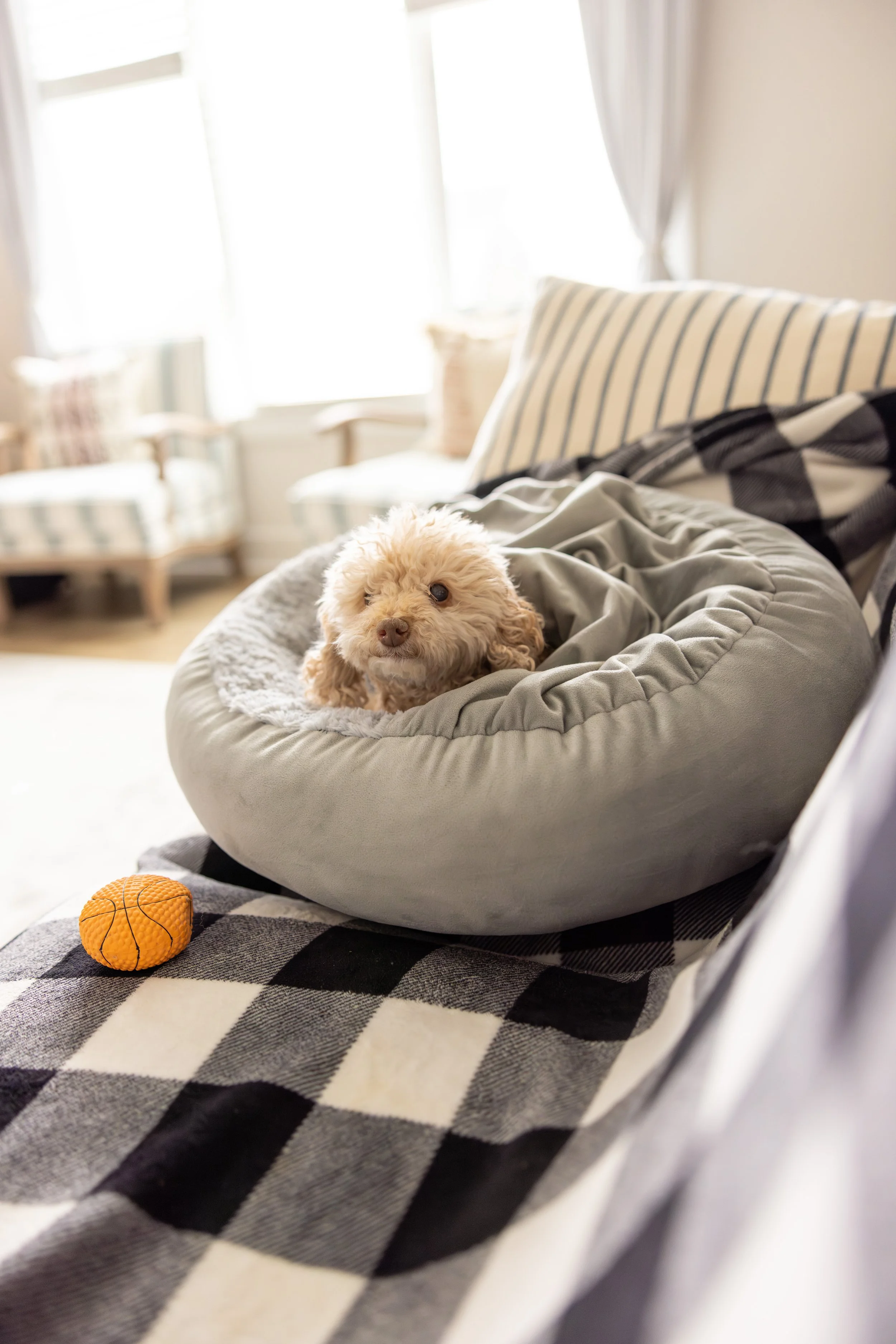 2025 - Volk Family Christmas - 0074.jpg