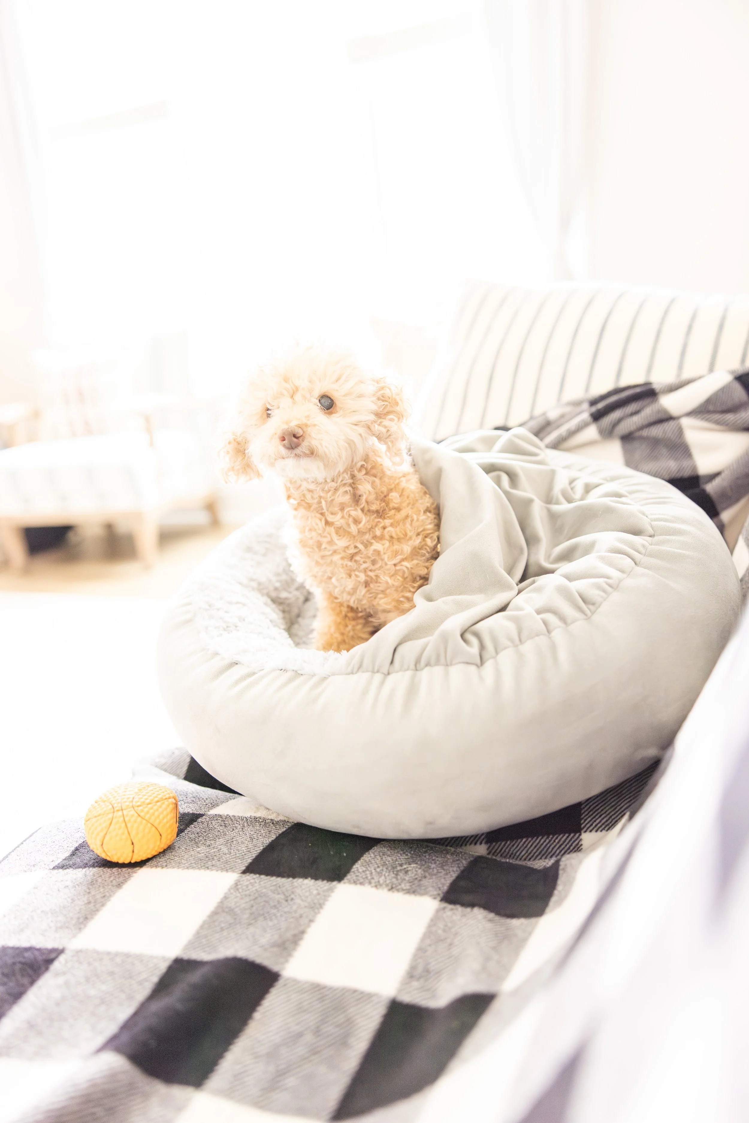 2025 - Volk Family Christmas - 0075.jpg