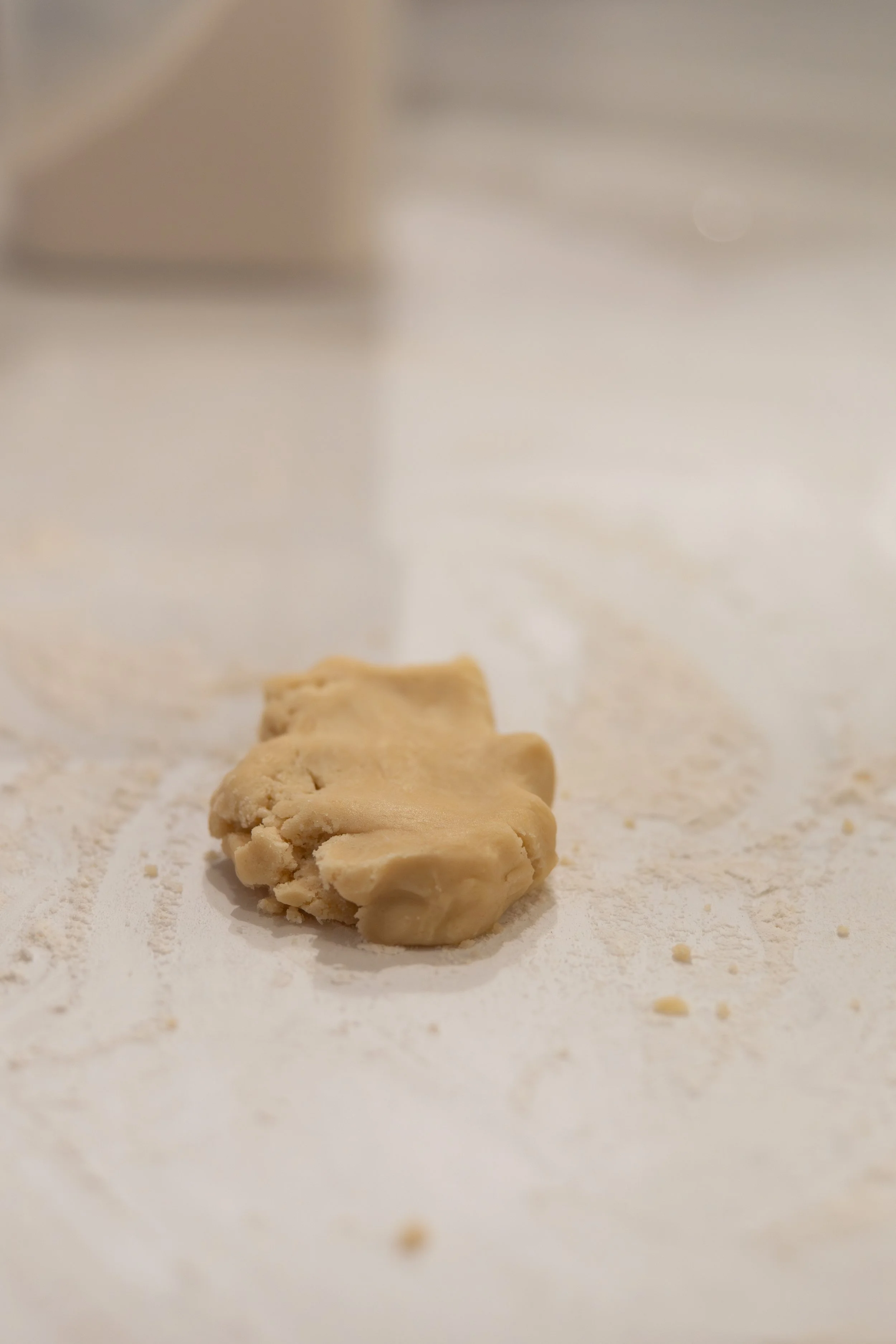 2025 - Volk Family Christmas - 0079.jpg