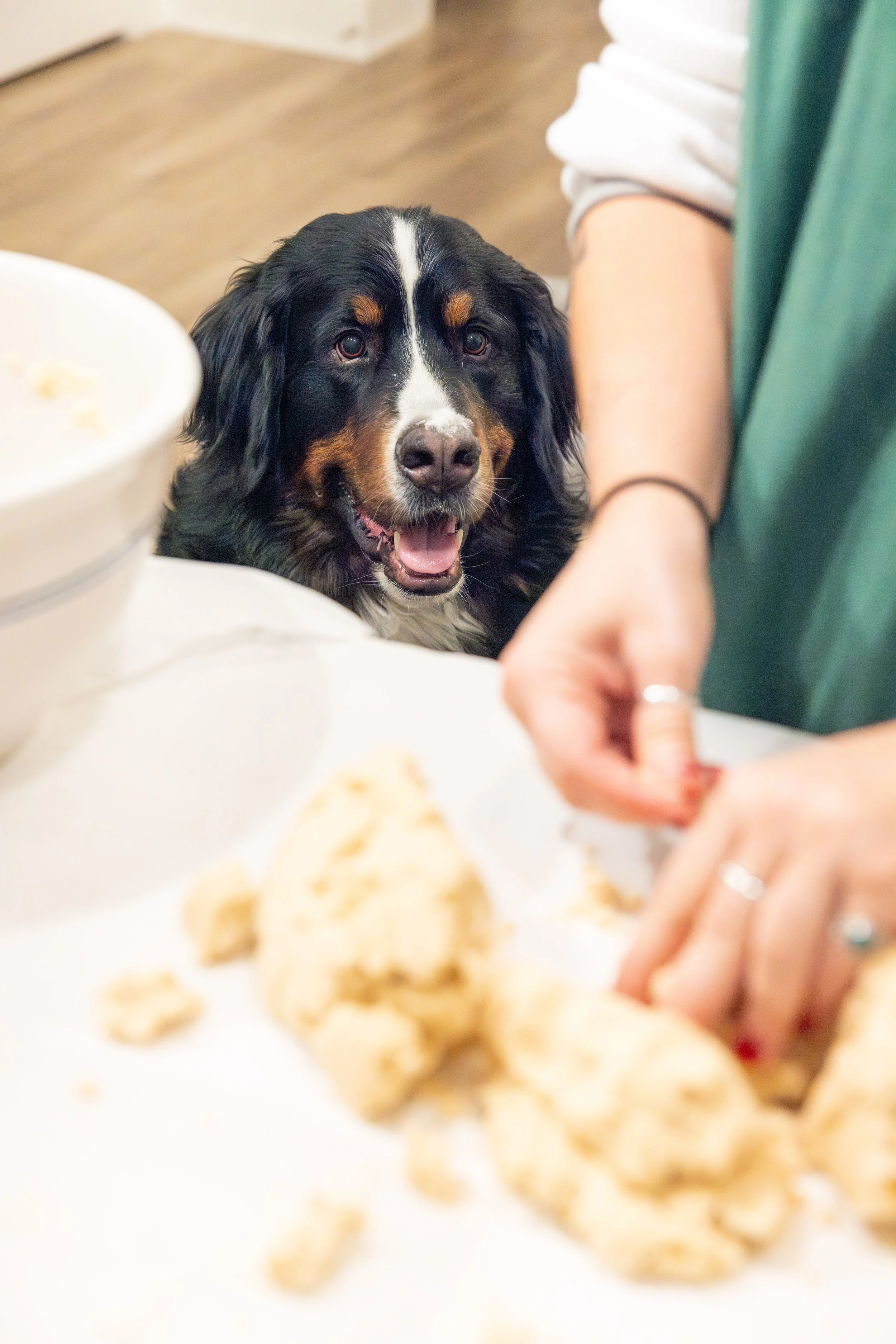 2025 - Volk Family Christmas - 0084.jpg