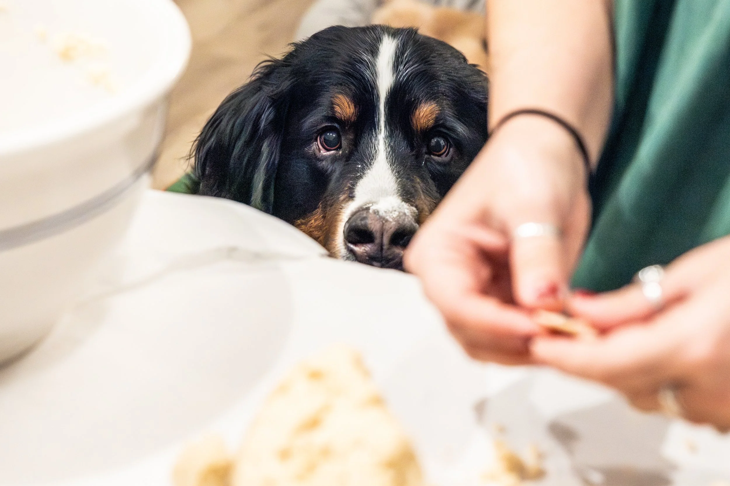 2025 - Volk Family Christmas - 0085.jpg