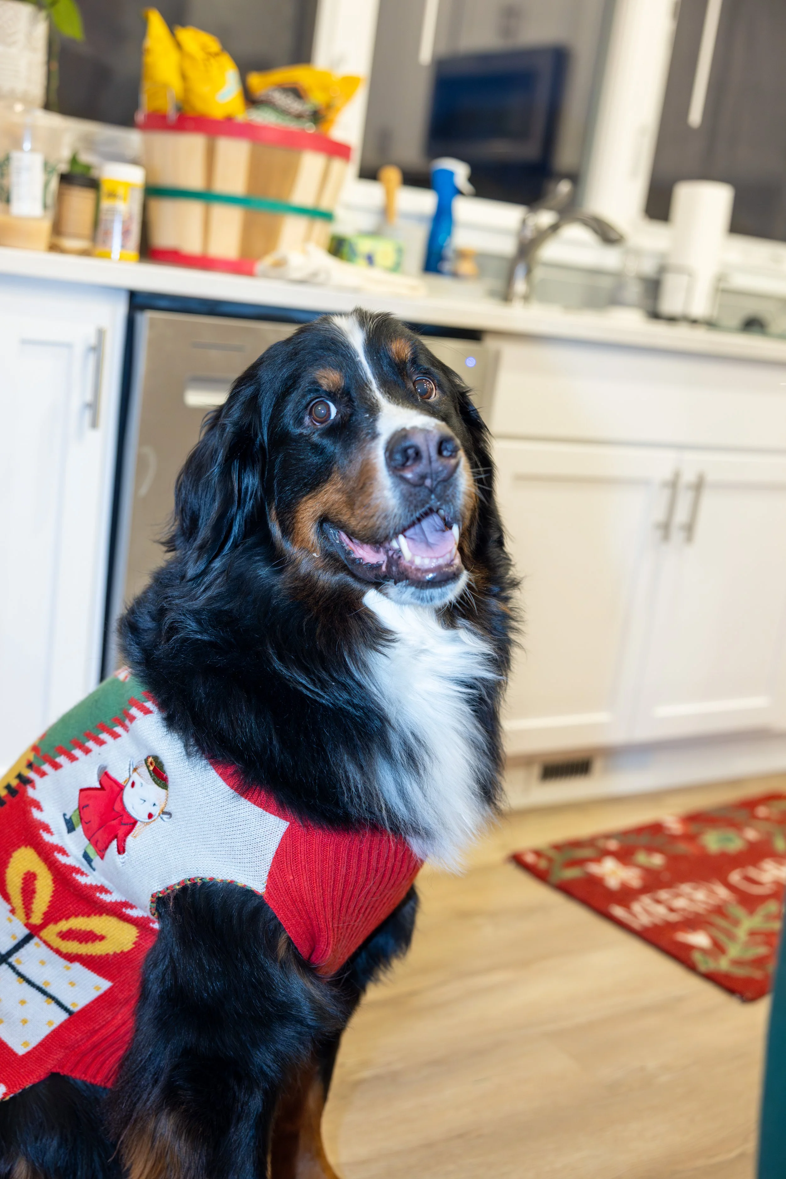 2025 - Volk Family Christmas - 0090.jpg