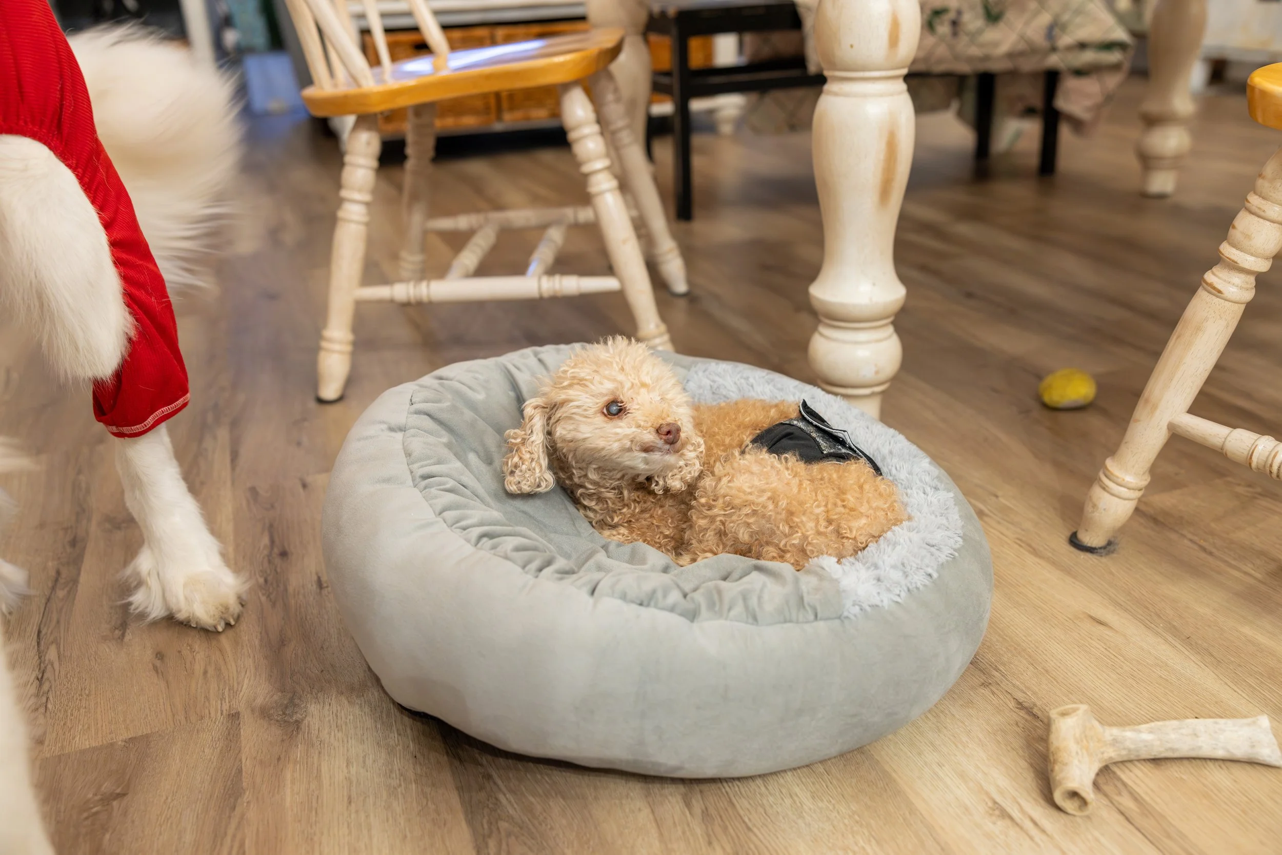 2025 - Volk Family Christmas - 0097.jpg