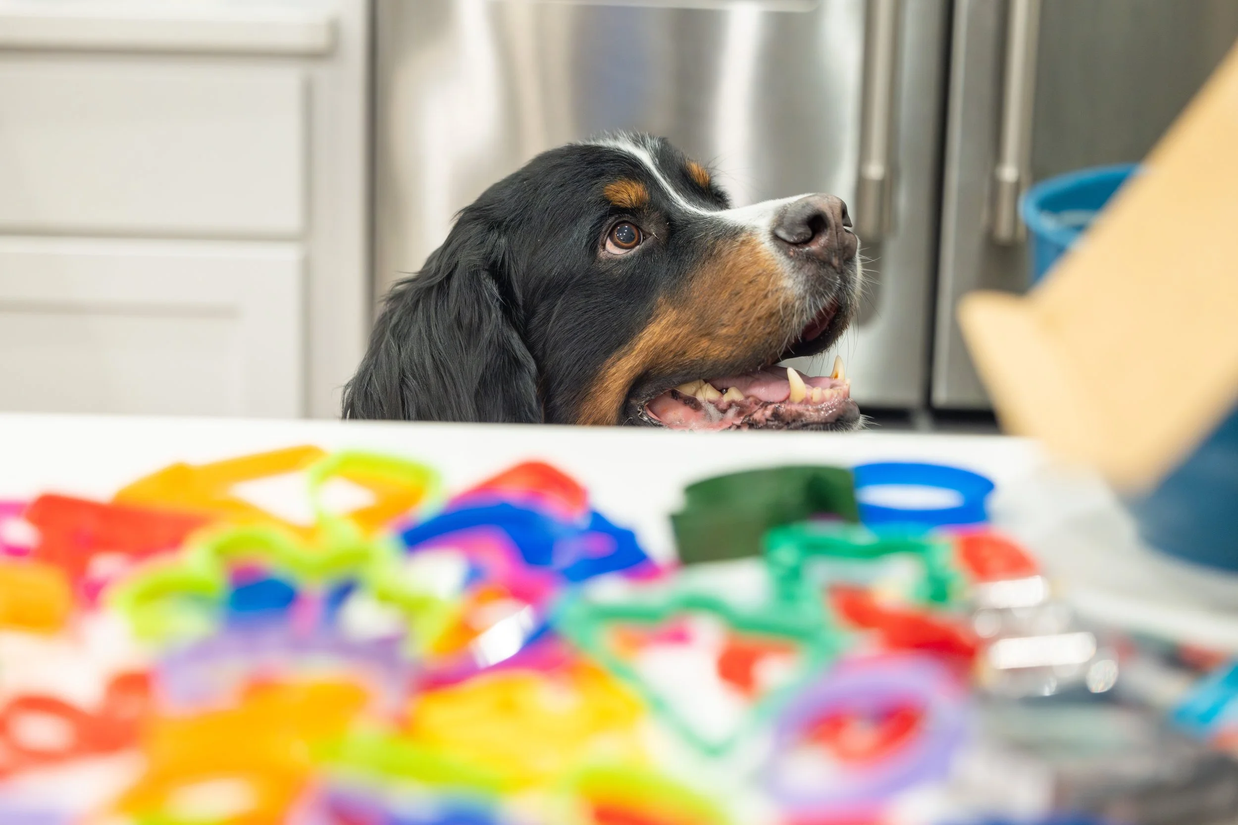 2025 - Volk Family Christmas - 0118.jpg