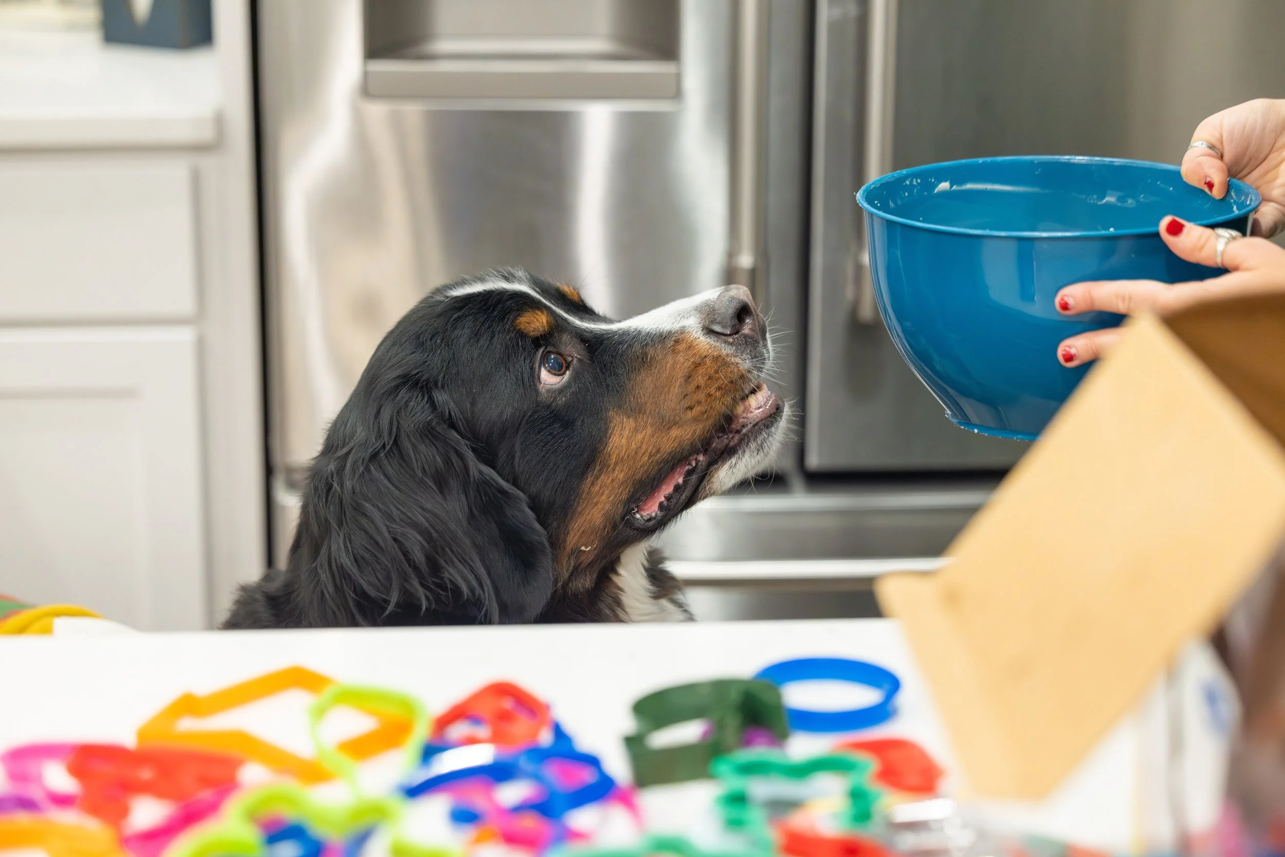 2025 - Volk Family Christmas - 0119.jpg