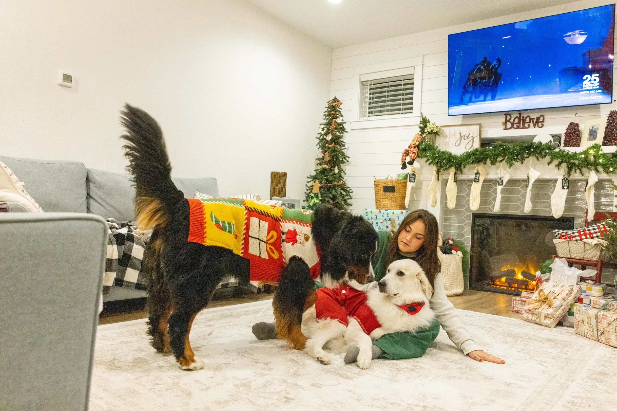 2025 - Volk Family Christmas - 0127.jpg