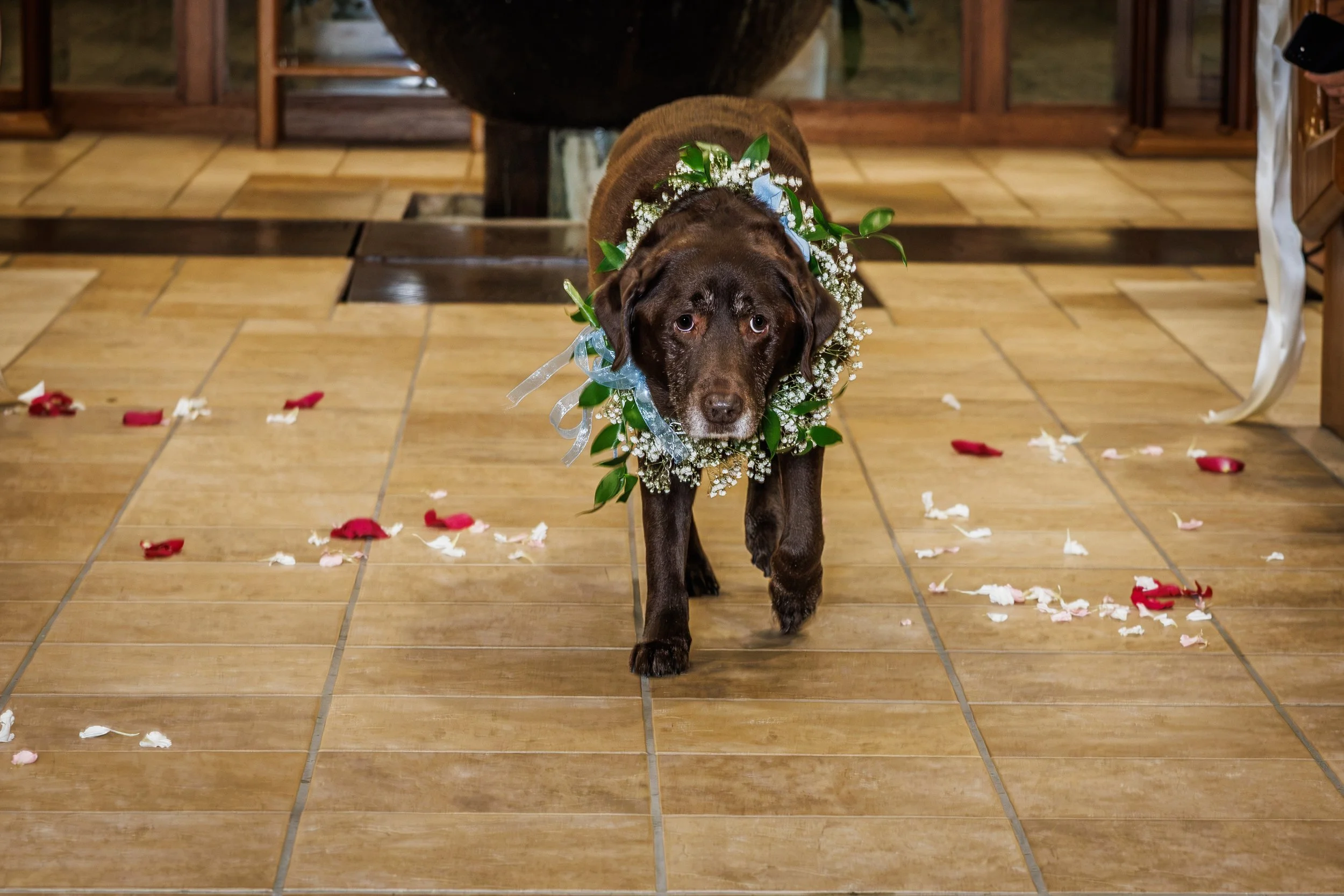 Morgan and Doyle - 03 - The Sacrament-27.jpg