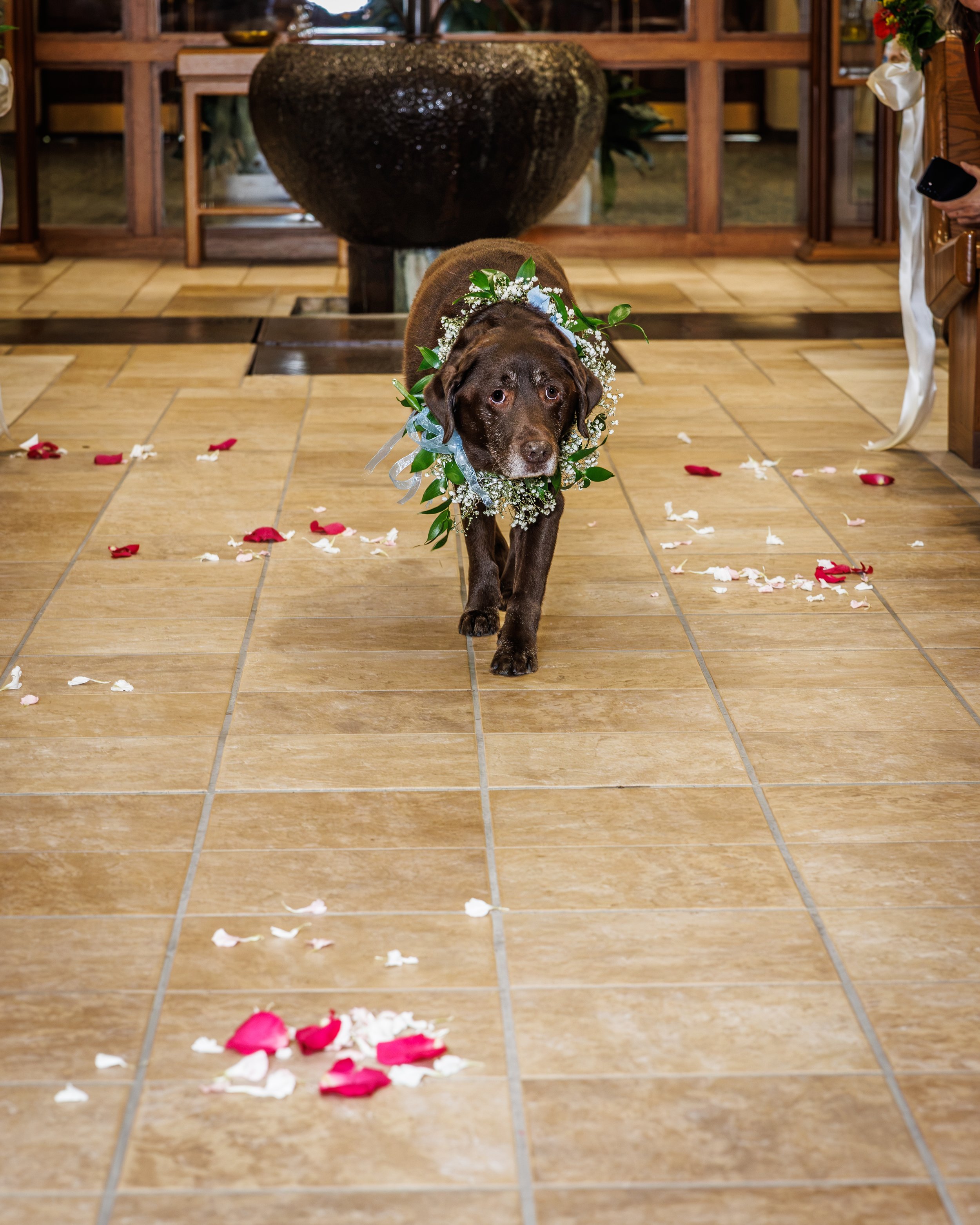 Morgan and Doyle - 03 - The Sacrament-28.jpg
