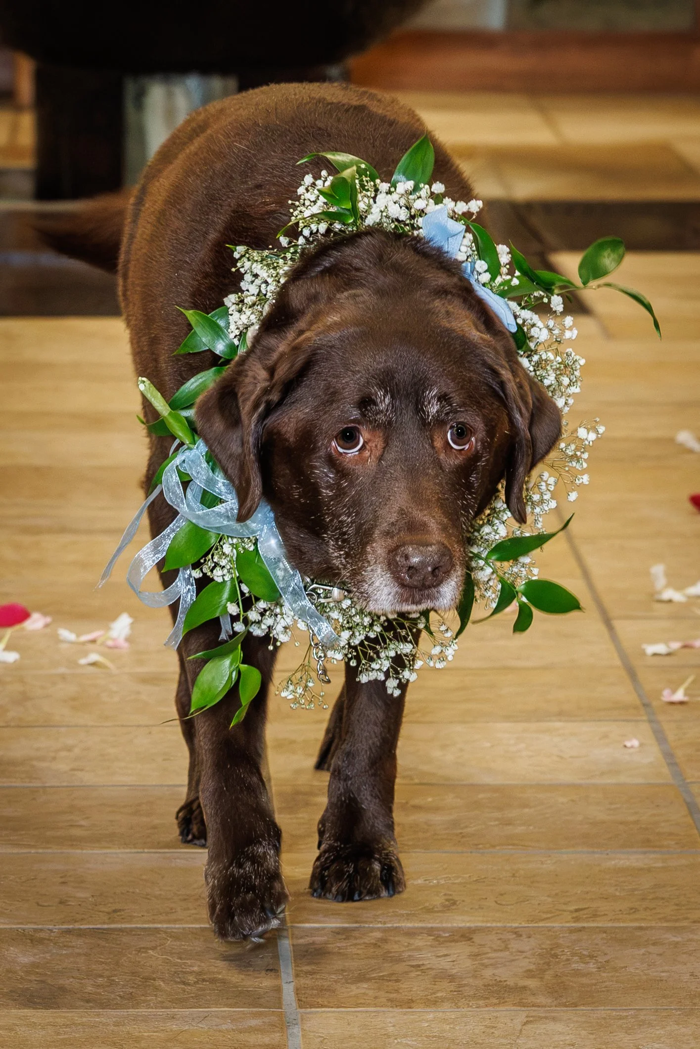 Morgan and Doyle - 03 - The Sacrament-29.jpg