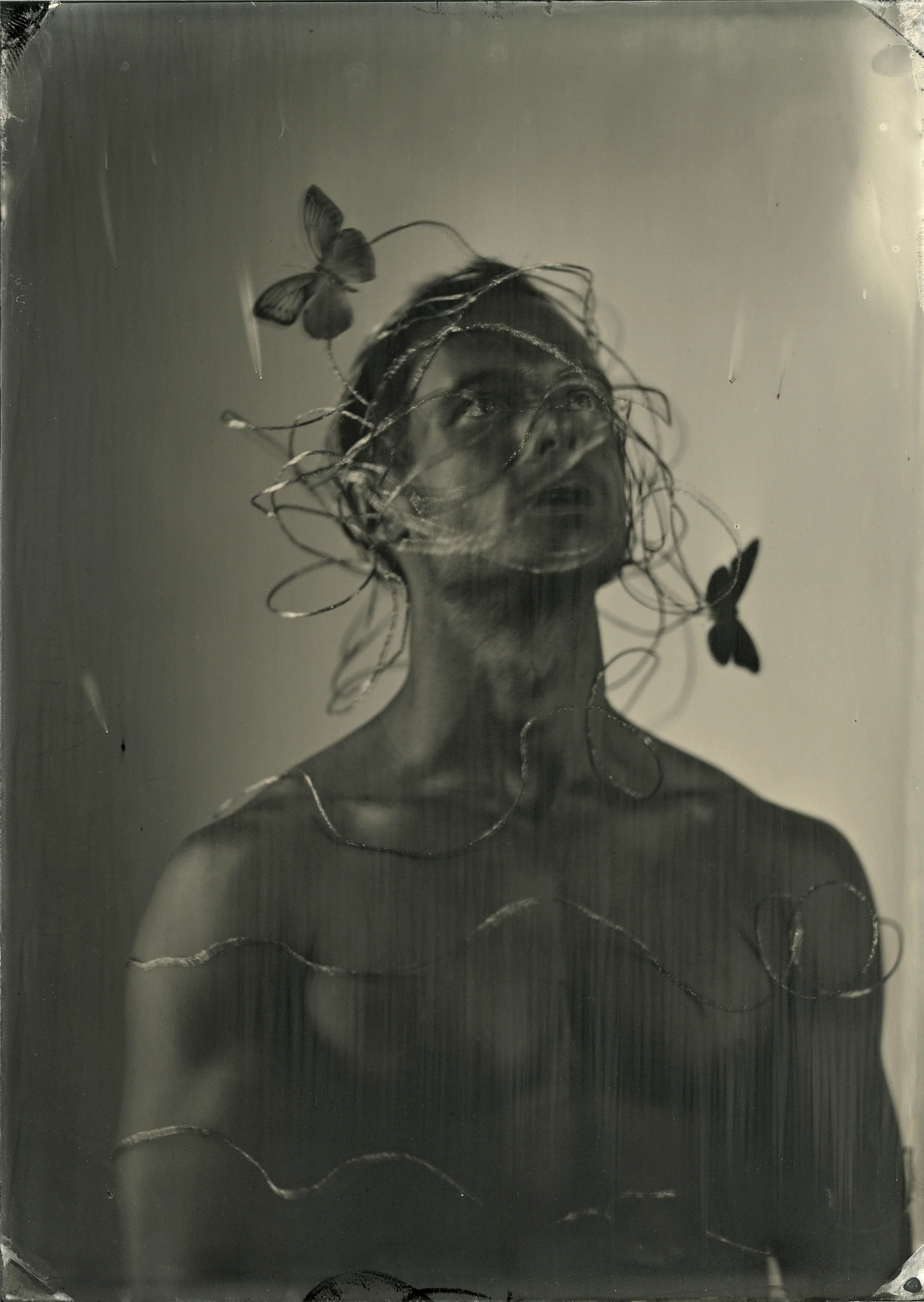 Rebirth