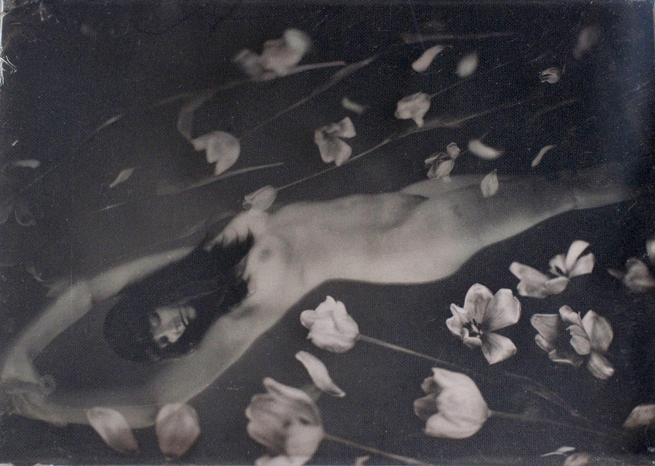 Aphrodite (Three Ambrotypes)