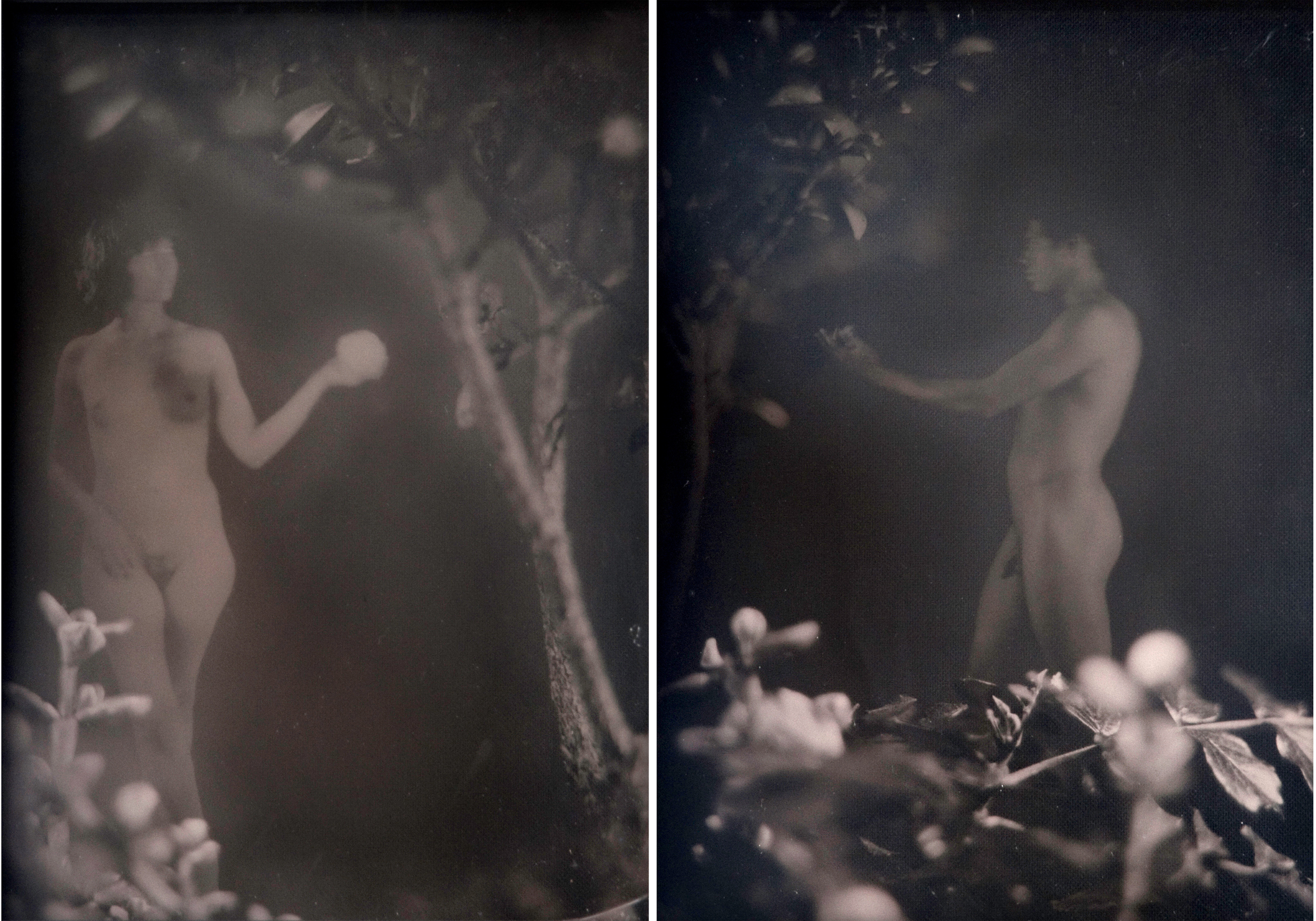 Adam & Eve (Dyptic- Two Ambrotypes and One Tintype)