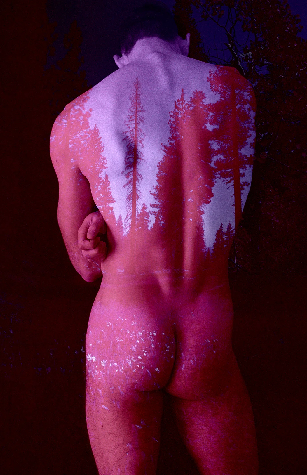 Under My Skin