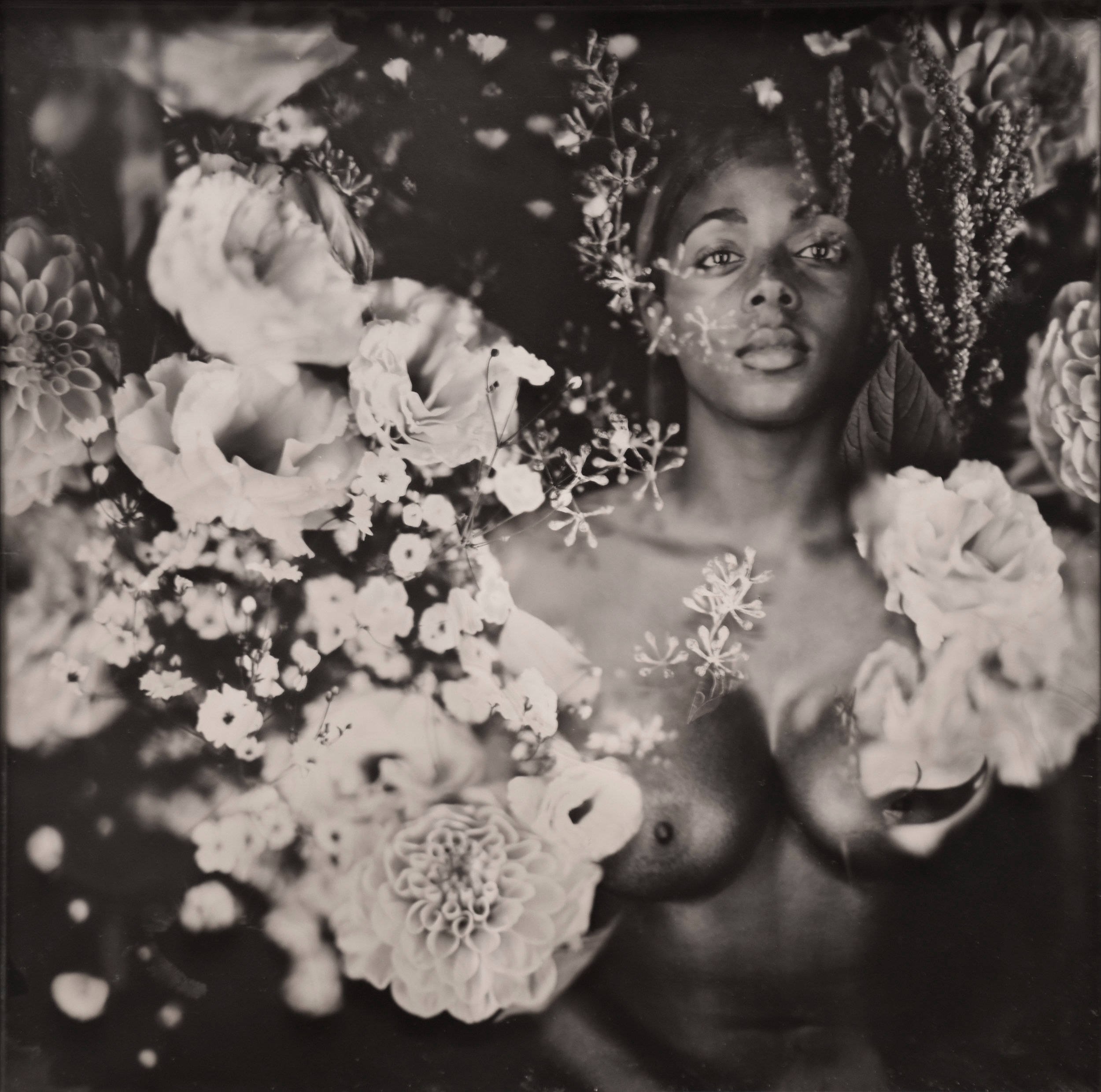 Untitled #12 12x12" Two Ambrotypes