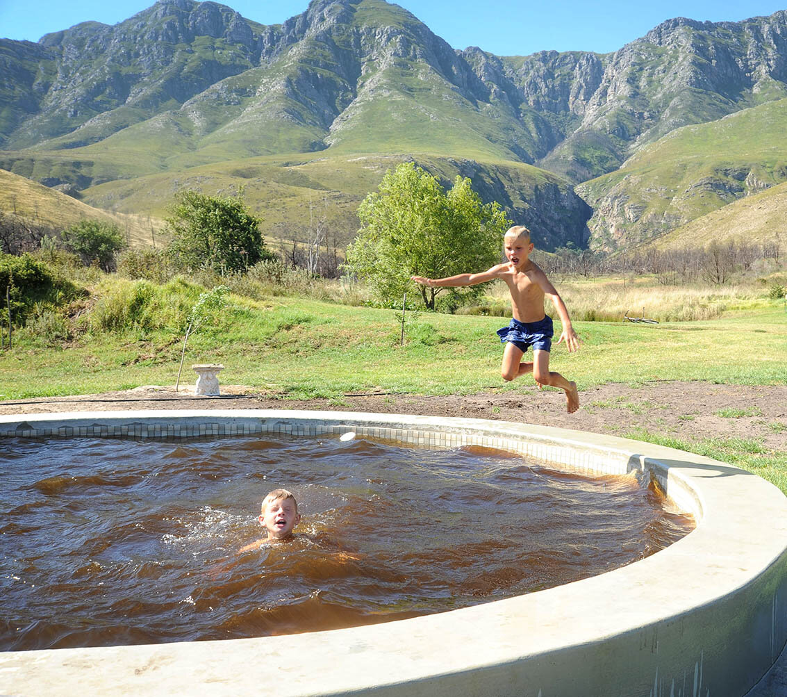 Cooling off in the pool low.jpg