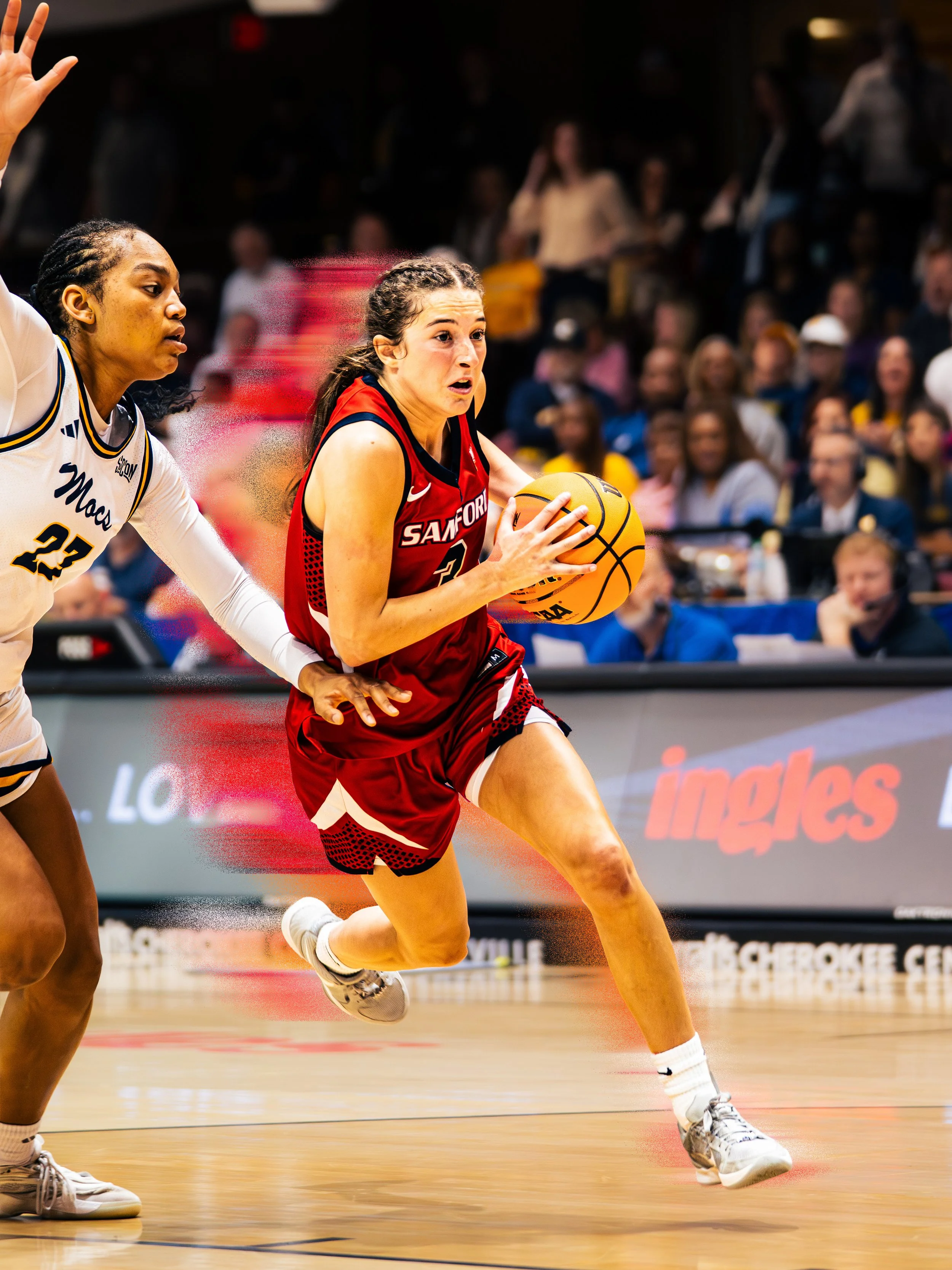  Photographed by Waterbird Media 