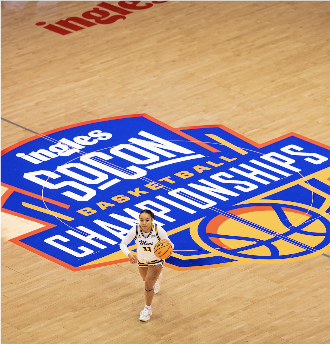  Photographed by Waterbird Media 