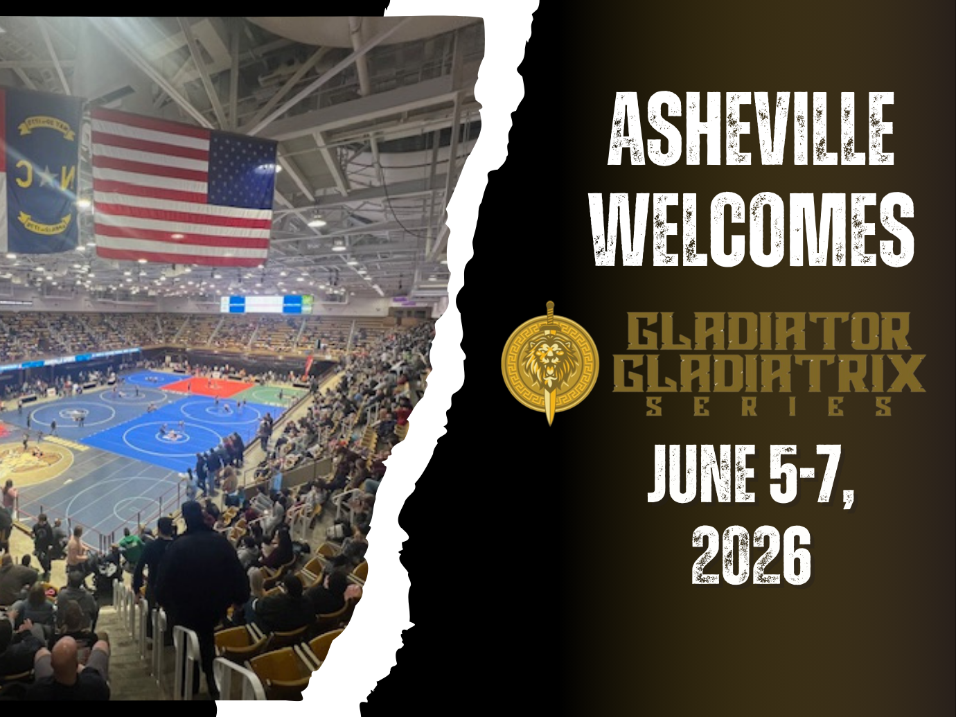 Gladiator Blog Banner-2.png