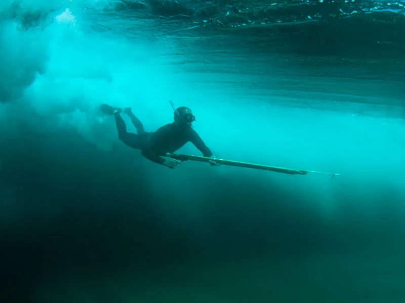 grey_whale_gallery_0013_layer-comp-14.jpg