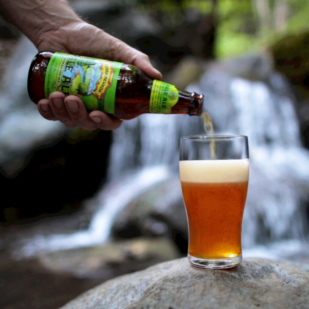 Bottle Service _V2- 8.3.18 - Square GIf - Final.gif