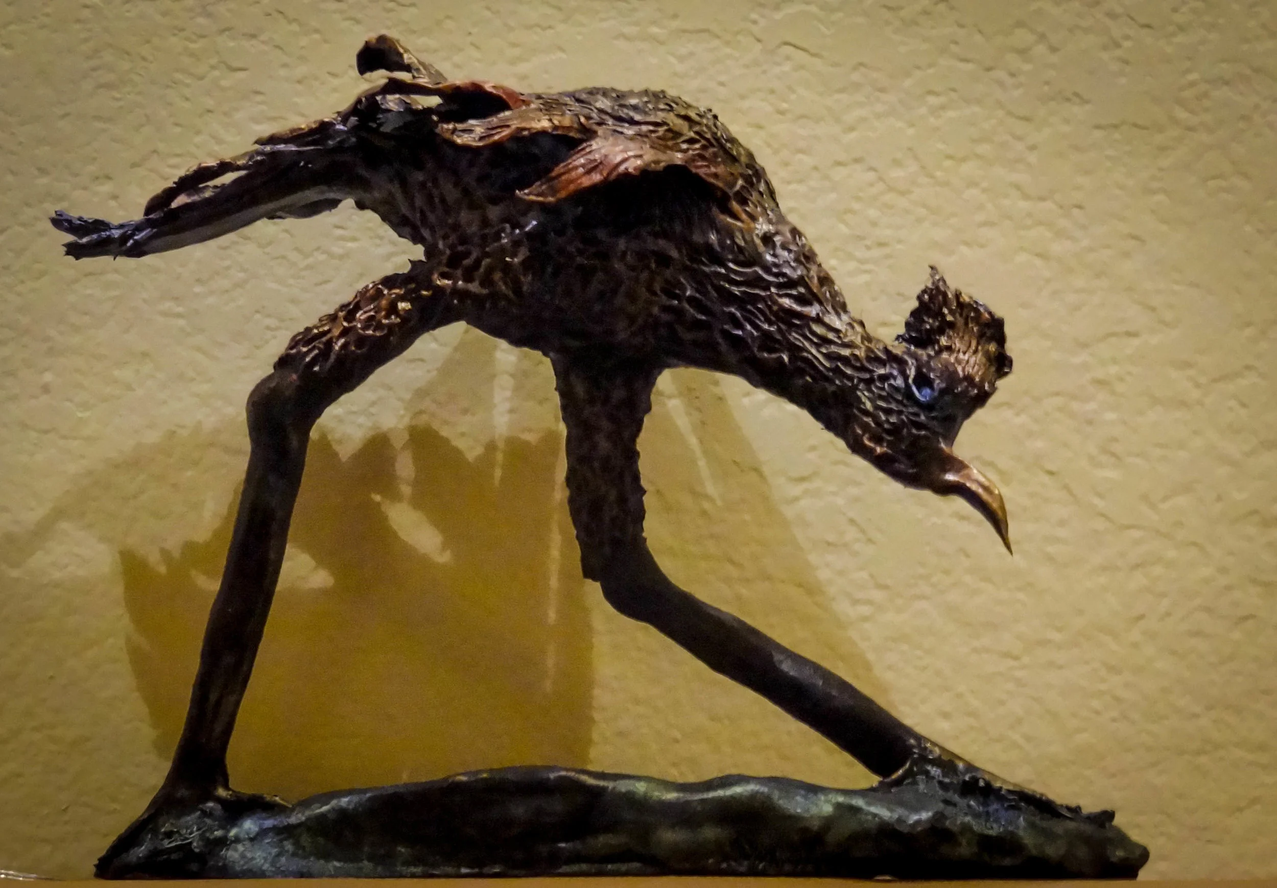 Road Runner, 2017