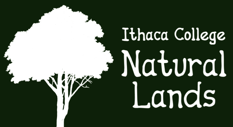 Ithaca College Natural Lands