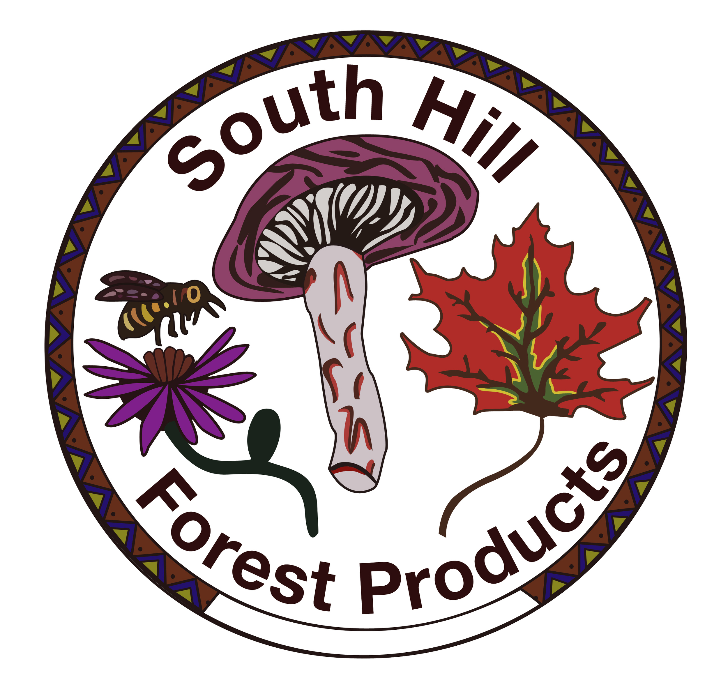south hill logo 2.jpg