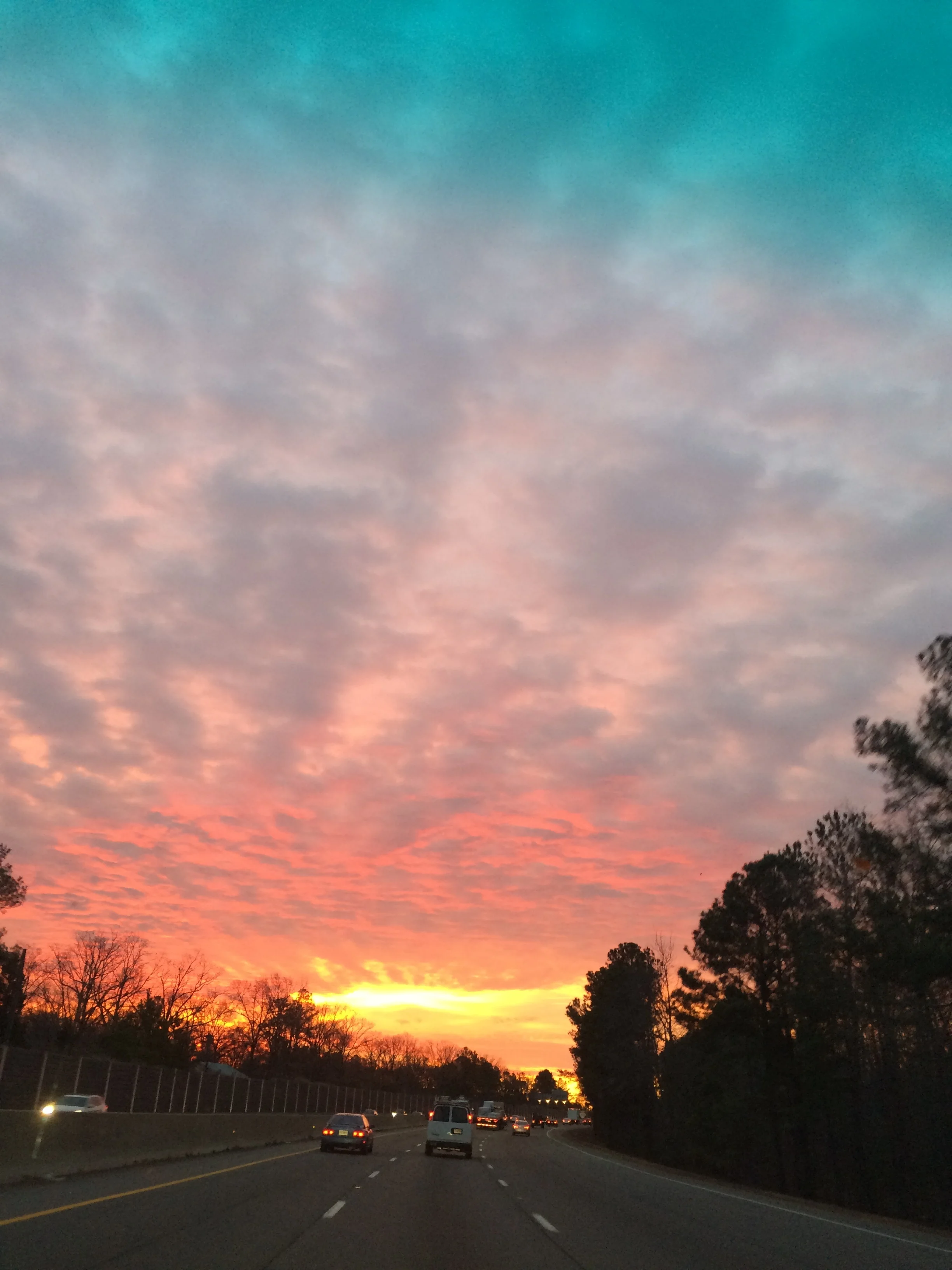 The Easiest Way to Find the Cheapest Flight