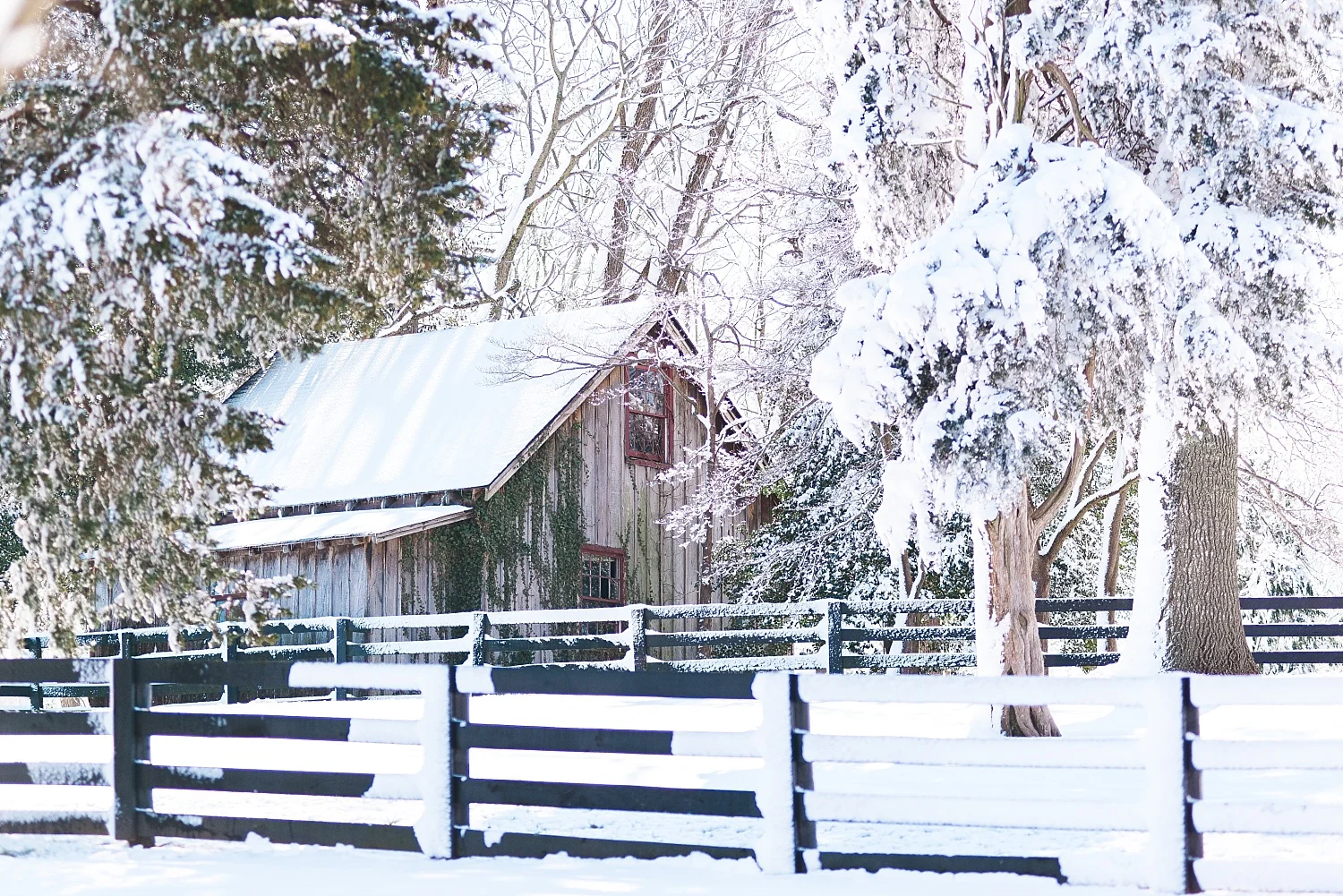 Keeneland in the Snow Lexington, KY Photographers Keith & Melissa