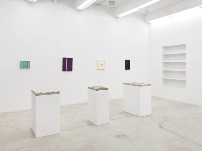Installation view, Aaron Aujla, Charles Harlan, John Pittman , Martos Gallery, New York, 2013