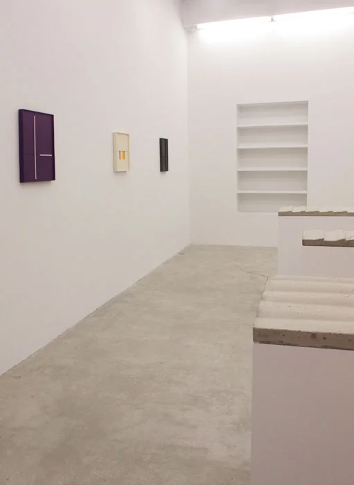 Installation view, Aaron Aujla, Charles Harlan, John Pittman , Martos Gallery, New York, 2013