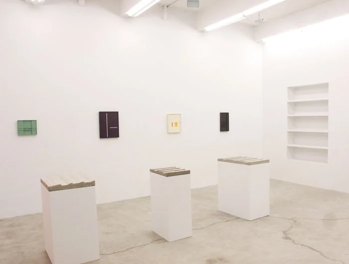 Installation view, Aaron Aujla, Charles Harlan, John Pittman , Martos Gallery, New York, 2013