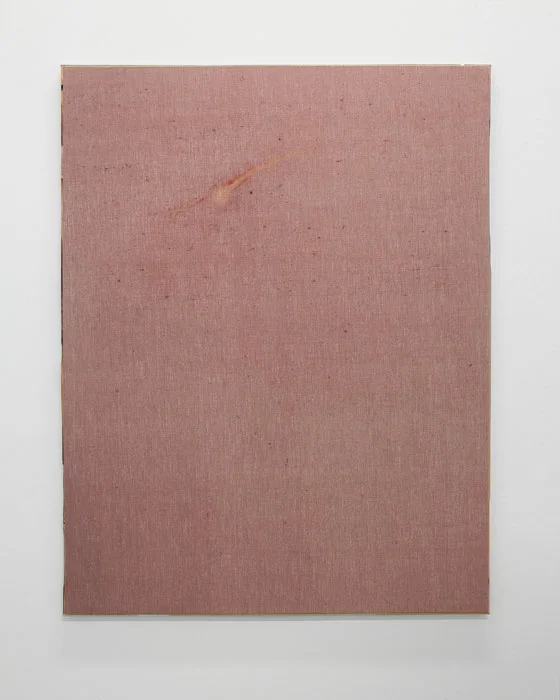 Aleksander Hardashnakov, Comet , 2012, oil, fabric dye, bleach on linen with artist’s frame, 62 x 48 in