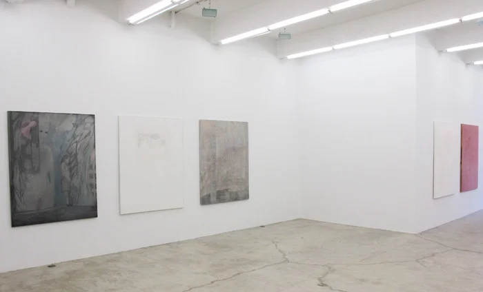 Installation view, Bring Me The You From You , Martos Gallery, New York, 2012